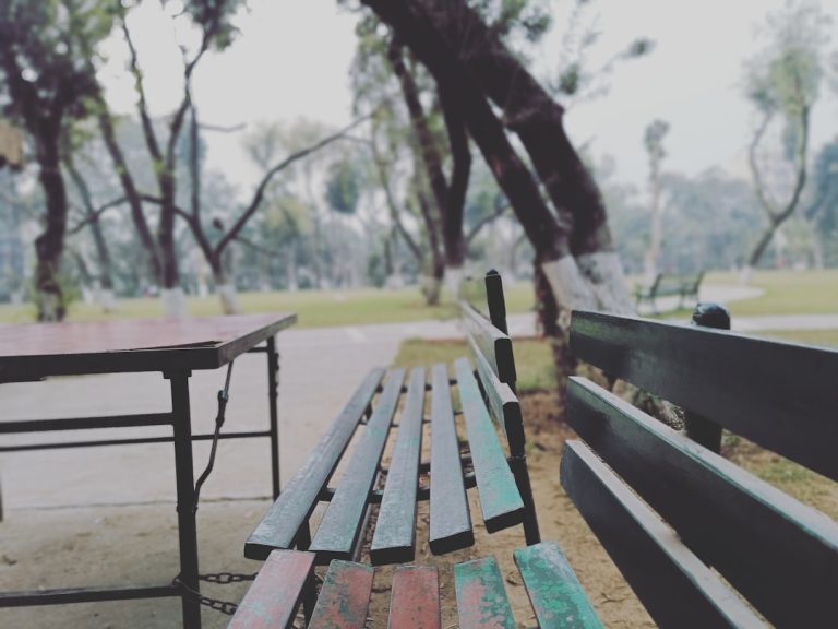 Embrace the Wild: Your Guide to Unforgettable Outdoor Adventures